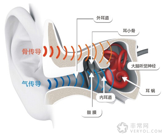 骨传导相关涨停背后,关于AfterShokz这头深海蓝鲸(图2) 骨传导相关涨停背后,关于AfterShokz这头深海蓝鲸(图2)
