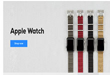 Apple Watch表带更新啦！贝尔金/Incase发布其