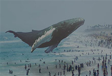 坐实造假传闻？Magic Leap公司公关主管离职