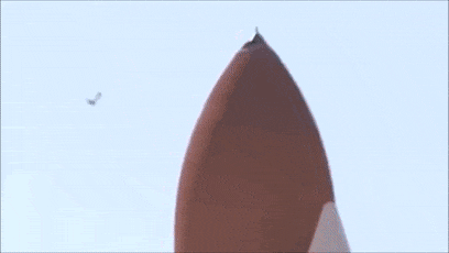 马斯克为了射火箭：竟然绑架海豹做这种事！