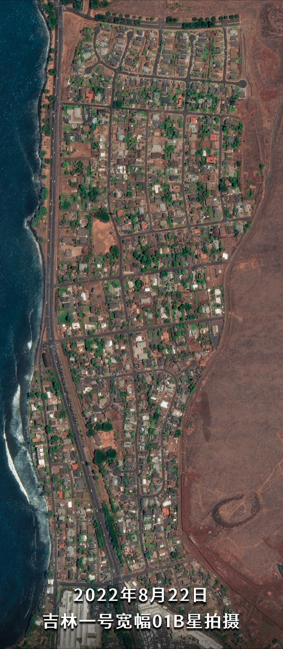 损失超430亿！吉林一号卫星对比夏威夷毛伊岛火灾前后：人间炼狱