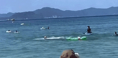 日本人游泳时遭遇海豚复仇？肋骨都被撞断了三根！