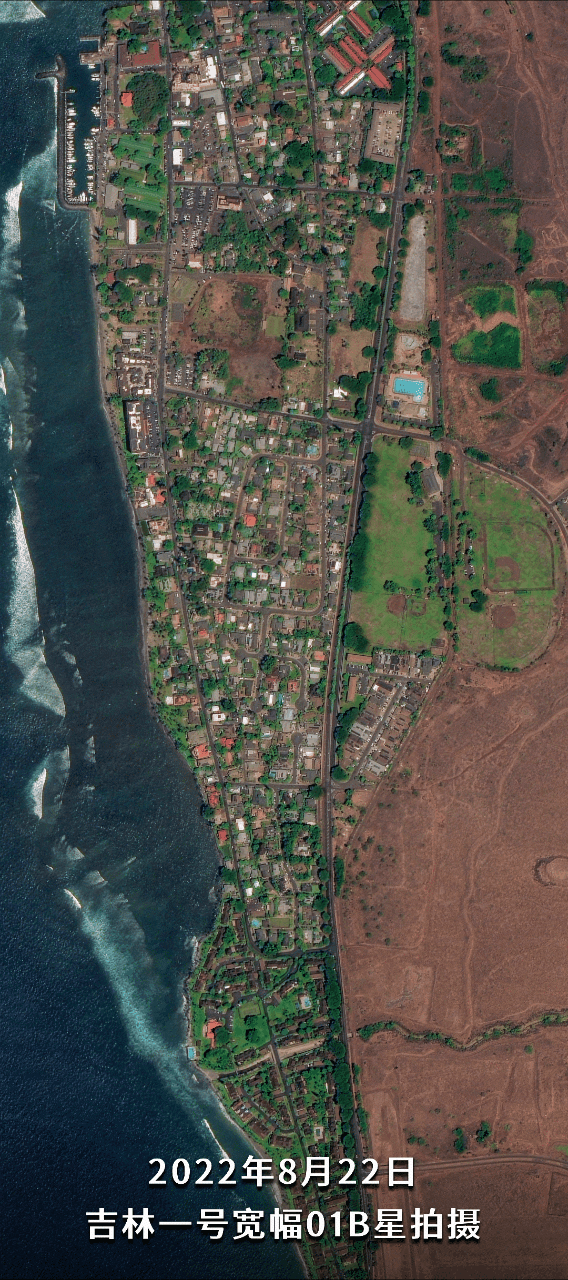 损失超430亿！吉林一号卫星对比夏威夷毛伊岛火灾前后：人间炼狱