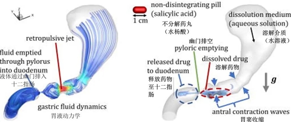 信我！右侧卧吃止疼片效果最好