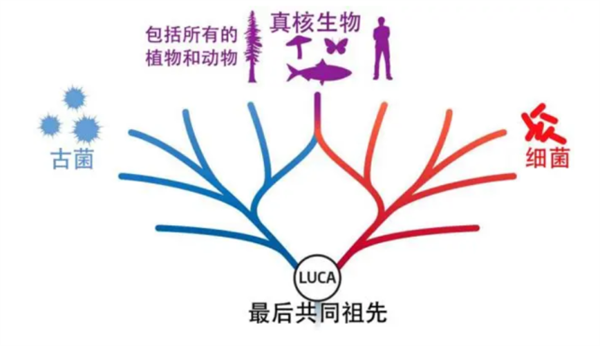 地球最黑暗的时刻：被狂轰滥炸长达2000万年