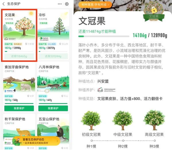 考生必种：支付宝蚂蚁森林植树节上新全新树种“文冠果”