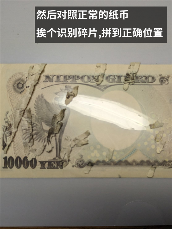 一万日元碎成残渣后：被日本网友硬生生拼了回来！