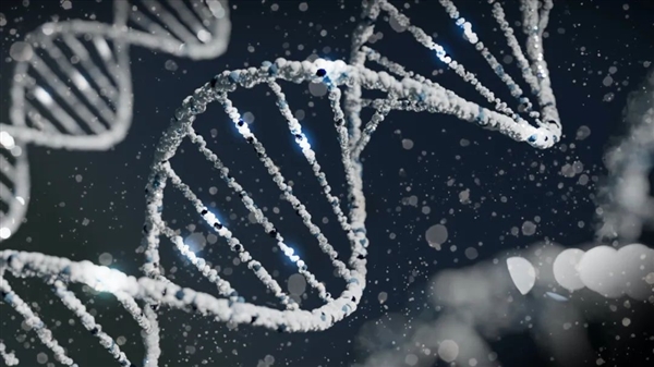 男性基因正在消失？两篇Nature揭示人类Y染色体的遗传奥秘