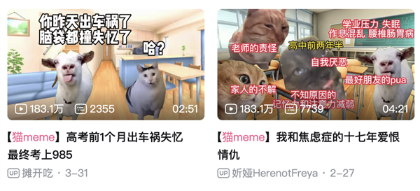 这届年轻人 正在用小猫演绎自己的精神状态