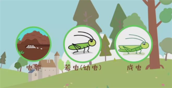 如果切掉毛虫的1条腿 会羽化出5条腿的蝴蝶吗？