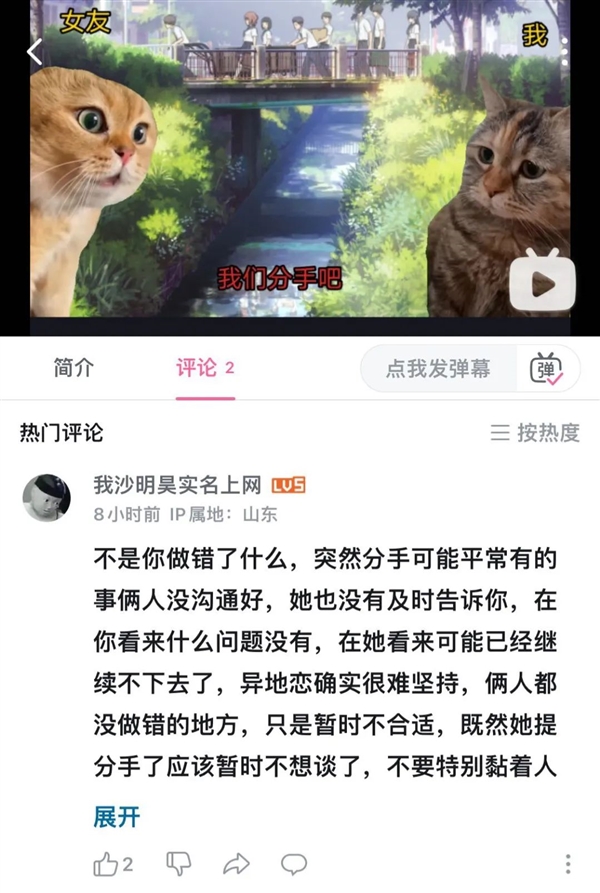 这届年轻人 正在用小猫演绎自己的精神状态