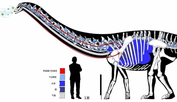现代哺乳动物穿越到中生代 能否竞争过恐龙