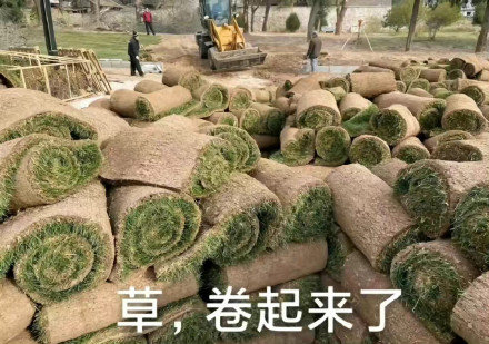 在排气炸街、废气熏天的泰国：中国新能源车像个异类