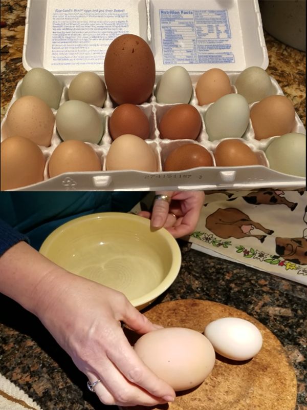 网友敲开超巨型鸡蛋：发现里面不仅有两个蛋黄！
