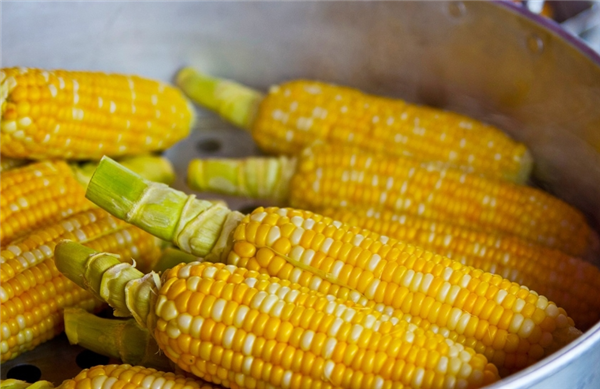 重磅！首批转基因玉米、大豆农作物种子生产经营许可证批准发放