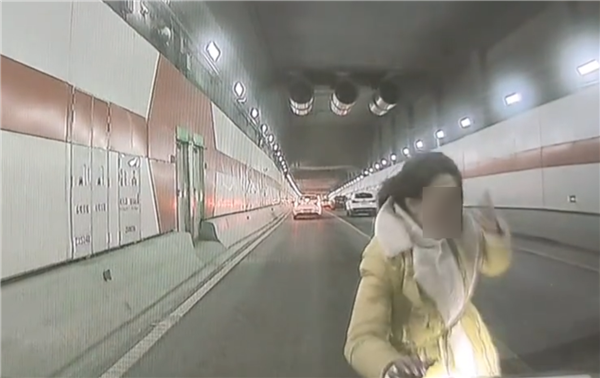 女子乘车突然解开安全带跳车 后车岚图AEB成功避免撞人