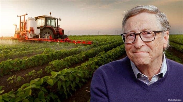 比尔·盖茨成美国最大私人农田“地主”  背后原因太现实