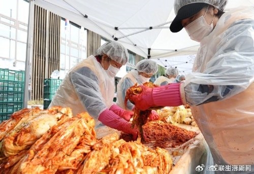 韩国大白菜最贵62元一斤：禁止从中国进口大白菜 尽管质优价廉