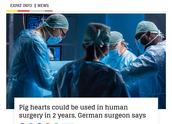 首例病例仅存活2个月！德国外科医生：人类移植猪心脏可在两年内应用
