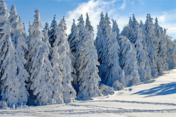 降雪最高近2米！美国遭遇新一轮冬季风暴：数十万用户断电