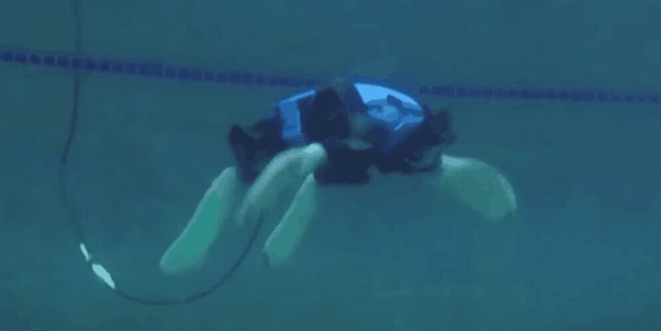 美国科学家成功研发水陆两栖机器人：海龟见了想认亲