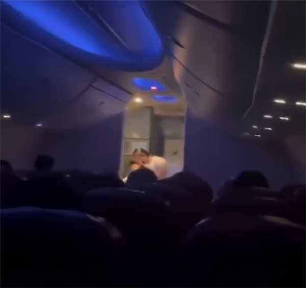 济南飞曼谷航班遭鸟击返航：发动机冒火花 还有巨响