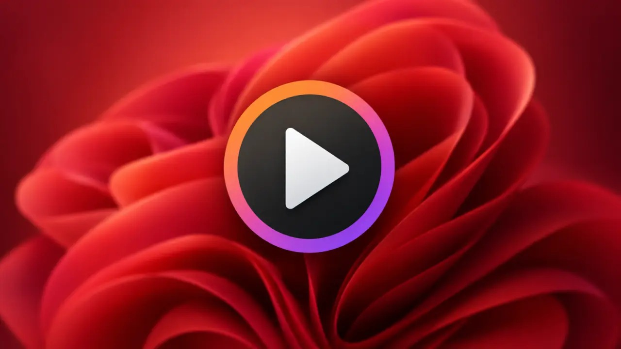 Windows Media Player经典皮肤提前失效：老用户何去何从
