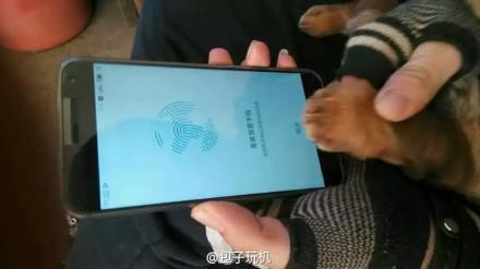 [动图]魅族MX4 Pro - 狗纹也可识别  
