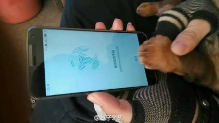 [动图]魅族MX4 Pro - 狗纹也可识别  (图1)