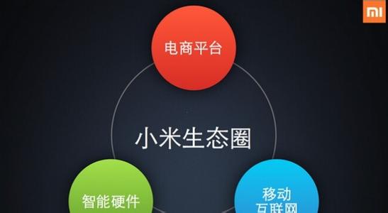 解读小米成长之路(图2)