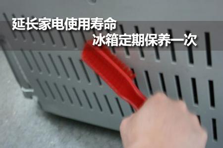 冰箱无生命但有寿命 日常养护有妙招(图4) 3