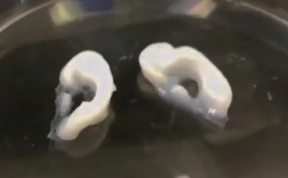 活细胞3D打印机 订制专属于你的治疗方法(图1) 1