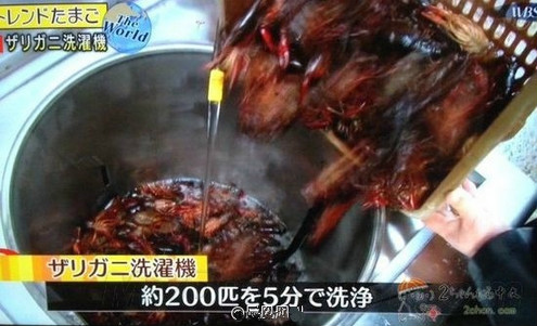 智能洗衣机都Out了!看看这些洗衣机神器(图2) 3