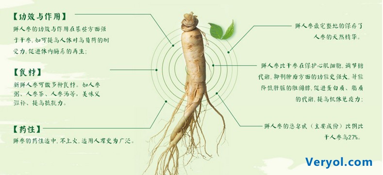 康美健康力推新鲜人参:生鲜电商的丰满与骨感(图1) 3