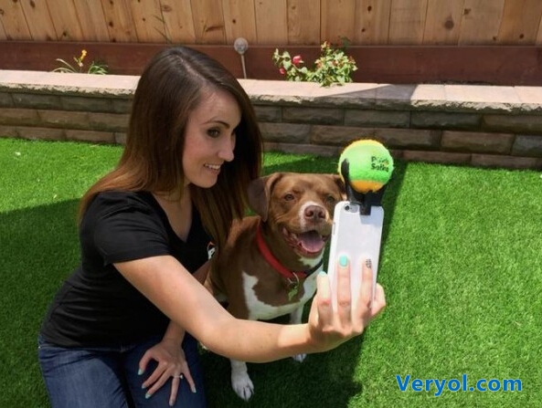 萌宠不配合自拍?找Pooch Selfie自拍神器来帮忙(图1) 1