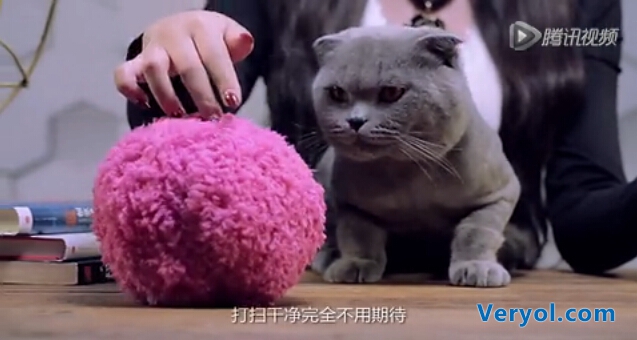 一只会打扫屋子的小绒球!确定不是小猫小狗的新玩具?(图1) 2