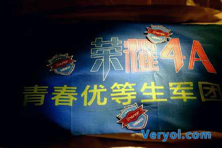 荣耀4A俄罗斯之行 或加快其国际市场圈地速度(图3) 3