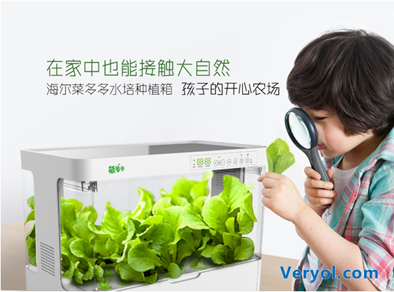 足不出户就能吃到新鲜蔬菜,海尔菜多多智能种植箱众筹上线!(图2) 1
