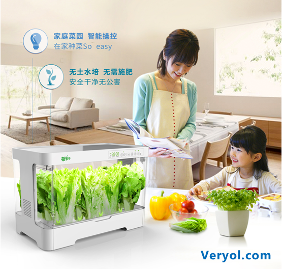 足不出户就能吃到新鲜蔬菜,海尔菜多多智能种植箱众筹上线!(图4) 1