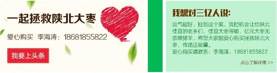 陕北滞销大枣销量大增 当地农民感谢360好搜伸援手(图2) 51