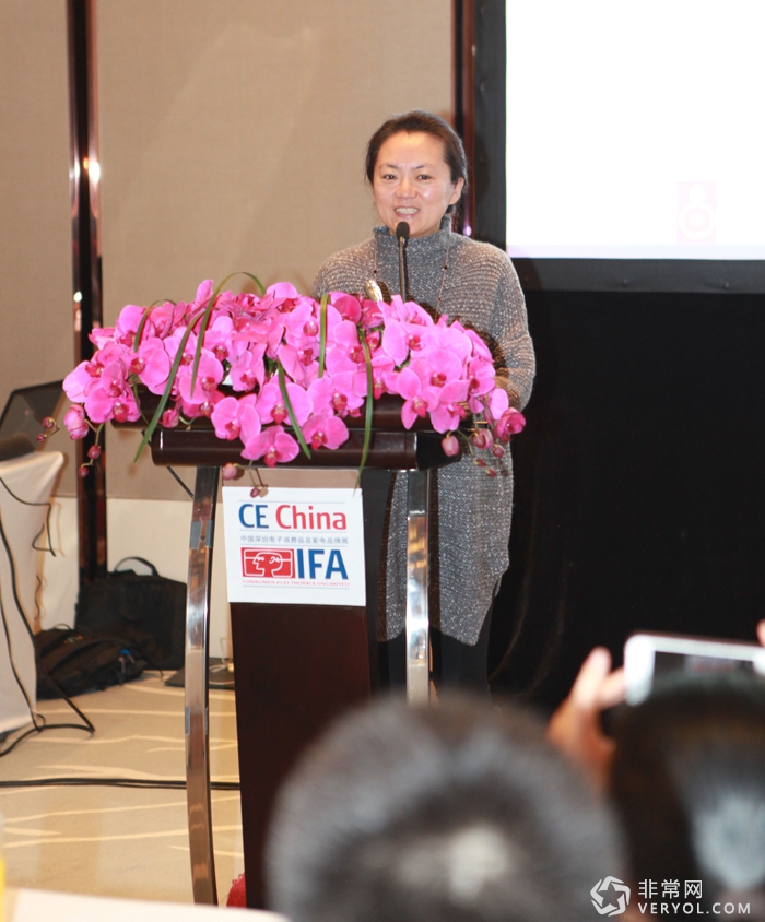 德国柏林消费类电子产品展览会IFA首次进入中国(图4) 11 (2)