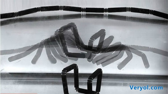 3D打印还在“热推” 4D打印已经“砸场”了?(图1) _1