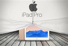 悲催！iPad Pro 受欢迎程度竟连iPad mini都不如