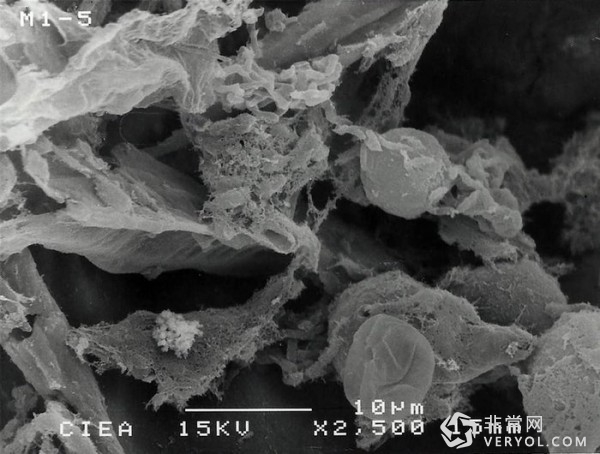 戳中了多少用户的痛点!花生壳做过滤器靠谱吗?(图2) 7