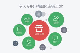 电商代运营进入2.0时代,若羽臣大举“布防”精细化运营(图1) 电商代运营进入2.0时代,若羽臣大举“布防”精细化运营(图1)