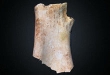 全球首例！英国展出3D打印甲骨文