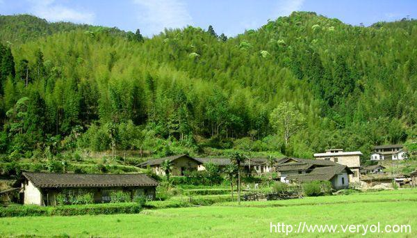 大众点评美团商户招嫖,平台监管引人深思(图1) 大众点评美团商户招嫖,平台监管引人深思(图1)