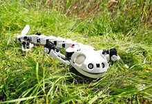 瑞士一大学3D打印出娃娃鱼机器人