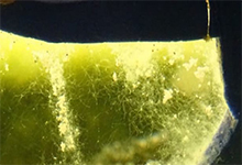 砖块也变智能化！能产生电力回收废水