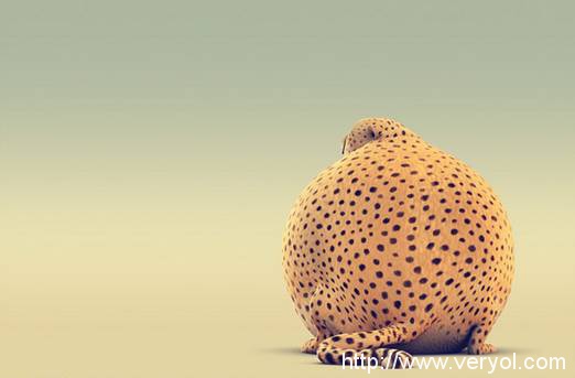 告别臃肿的过去,瘦身从电脑开始!(图3) 告别臃肿的过去,瘦身从电脑开始!(图3)